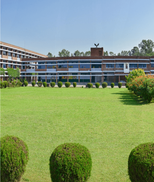 St. John's High School